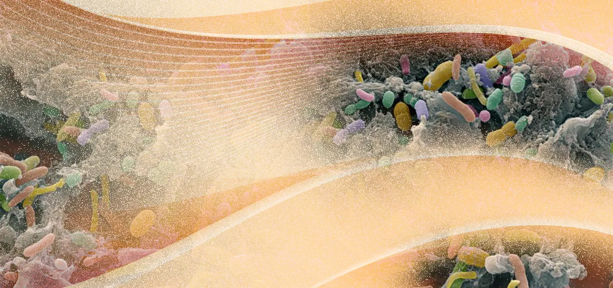 CAMP: The perfect bacterial matchmaker