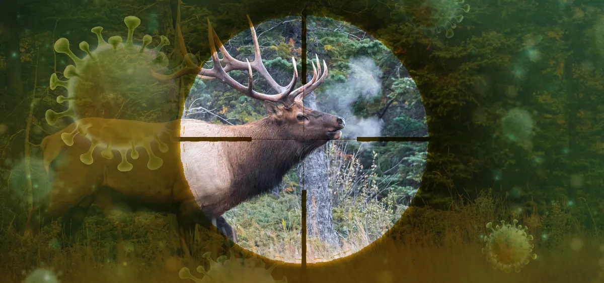 CombSGPO: A new algorithm to protect wildlife