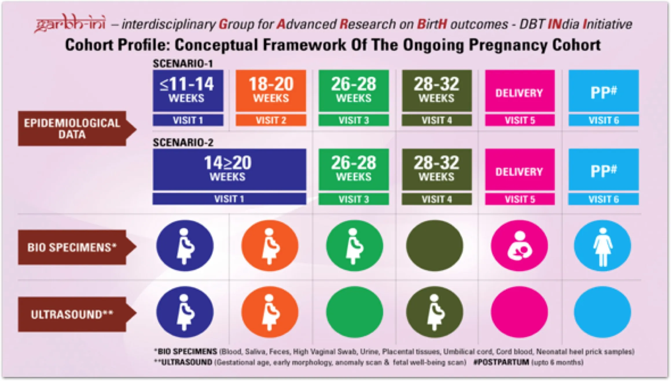 Developing India-specific pregnancy dating model from Garbhini cohort