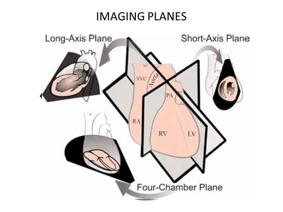 Deep learning in biomedical image analysis