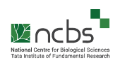 National Centre for Biological Sciences (NCBS)